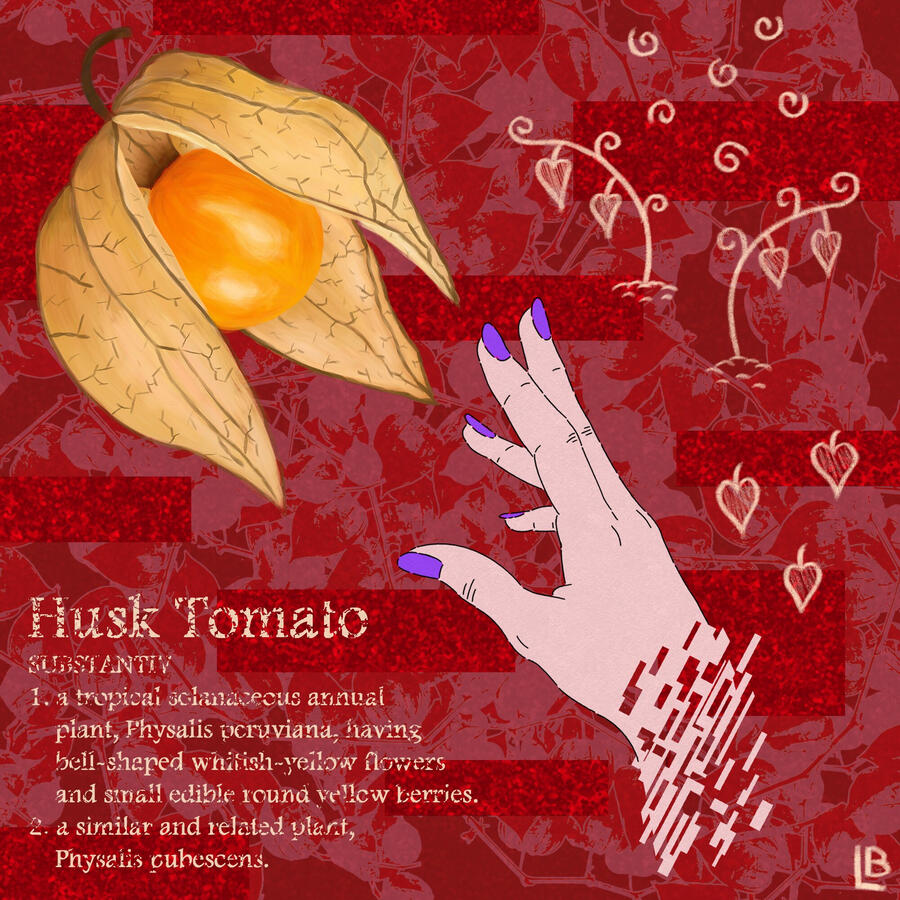 Husk Tomato